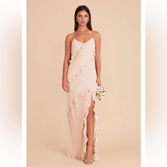 Birdy Grey Dresses & Skirts - NWT Birdy Grey Valentina Chiffon Maxi Dress in Pale Blush